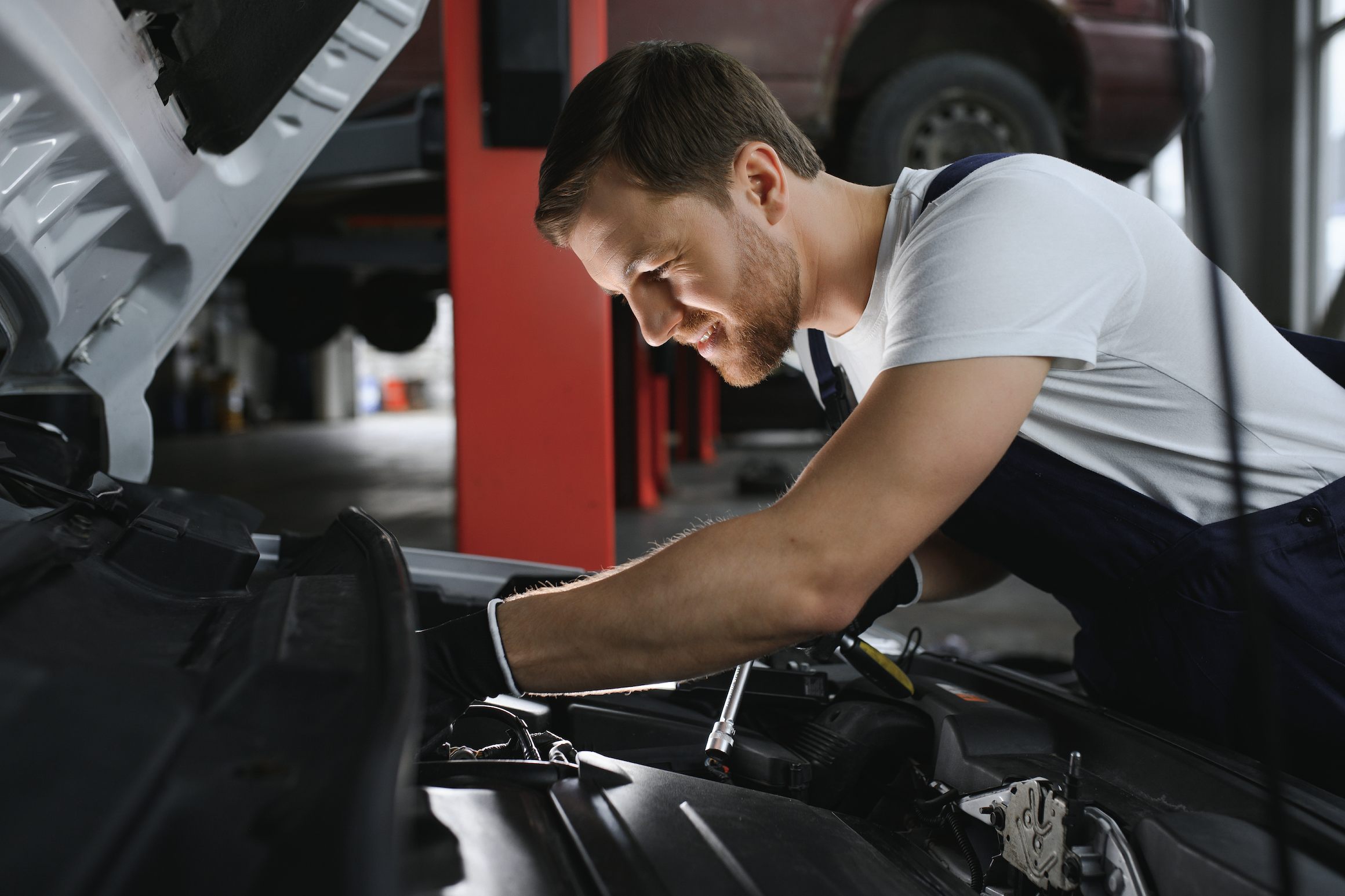 Wartung Und Reparatur Conrad